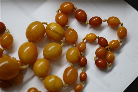 A large single strand graduated oval amber bead necklace,